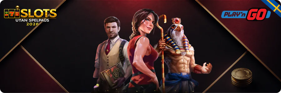 Play'n GO logotyp för slots utan spelpaus